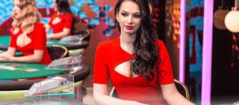 25 apk কুইন অফ বাউন্টি হিরো দৃশ্য